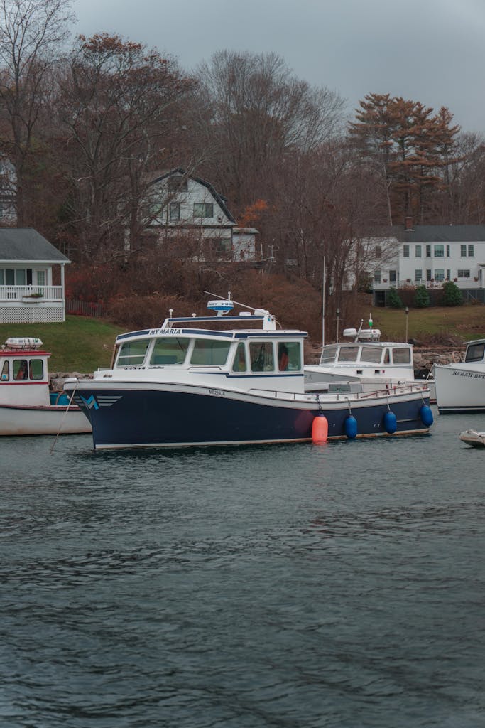 Boats docked by a shoreline with houses on an overcast day.